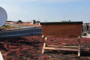 BienenBox_Dach