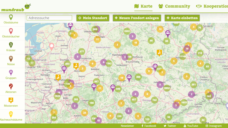 Ich bin mundräuberin! Bäume und Sträucher in deiner Nähe